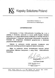 consulting referencje